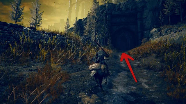 Elden Ring Shadow of the Erdtree. Скадувью