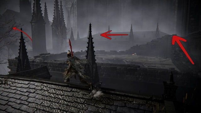 Elden Ring Shadow of the Erdtree. Скадувью