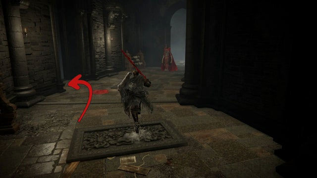 Elden Ring Shadow of the Erdtree. Скадувью