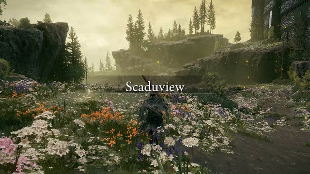 Elden Ring Shadow of the Erdtree. Скадувью