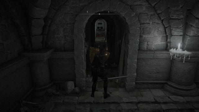 Elden Ring Shadow of the Erdtree. Подземелья