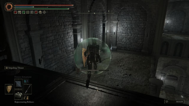 Elden Ring Shadow of the Erdtree. Подземелья