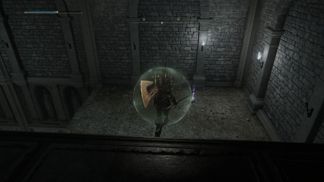 Elden Ring Shadow of the Erdtree. Подземелья