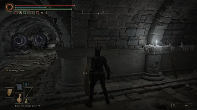 Elden Ring Shadow of the Erdtree. Подземелья