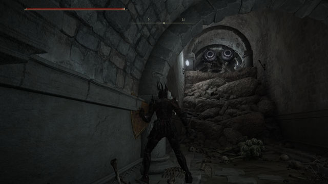 Elden Ring Shadow of the Erdtree. Подземелья