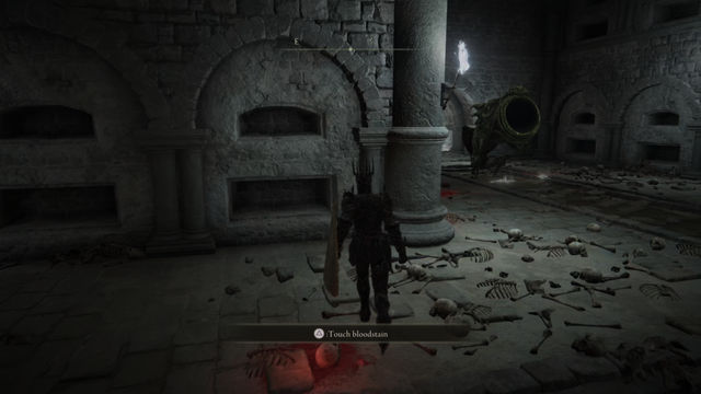 Elden Ring Shadow of the Erdtree. Подземелья