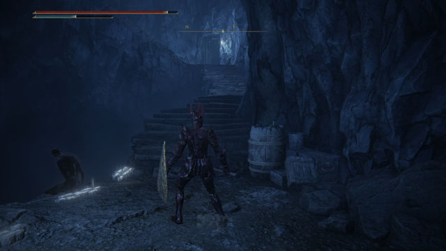 Elden Ring Shadow of the Erdtree. Подземелья