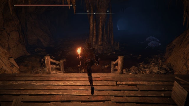 Elden Ring Shadow of the Erdtree. Подземелья