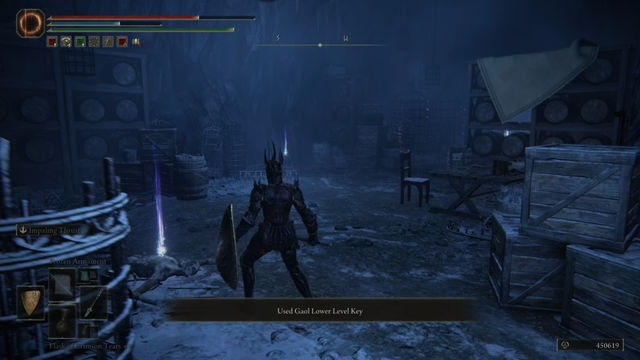 Elden Ring Shadow of the Erdtree. Подземелья