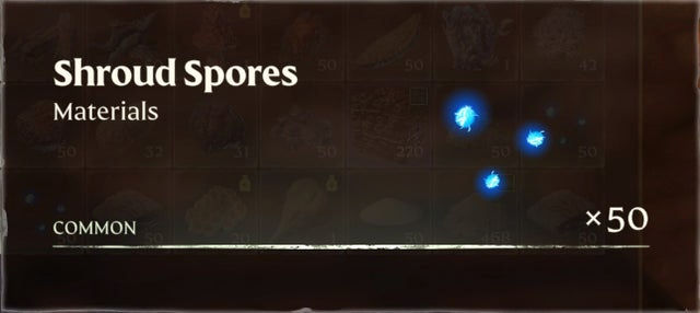 Enshrouded. Споры Плащаницы