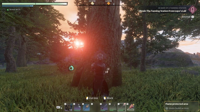 Enshrouded. Смола