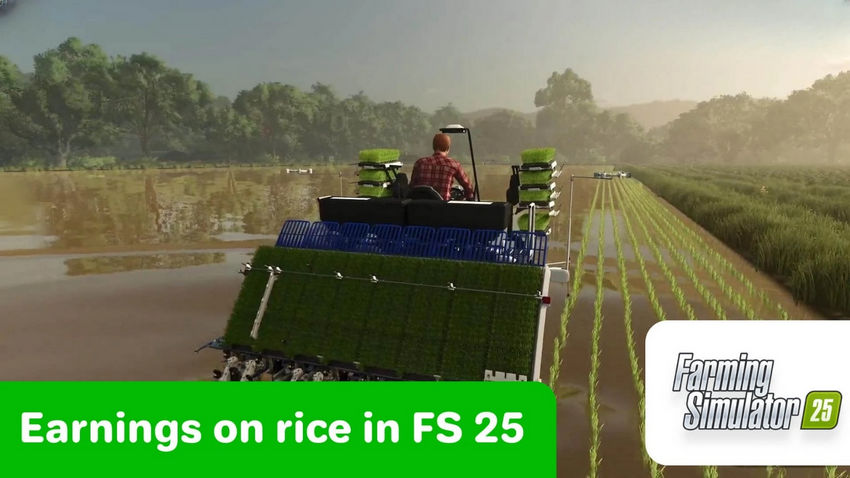 Farming Simulator 25. Деньги