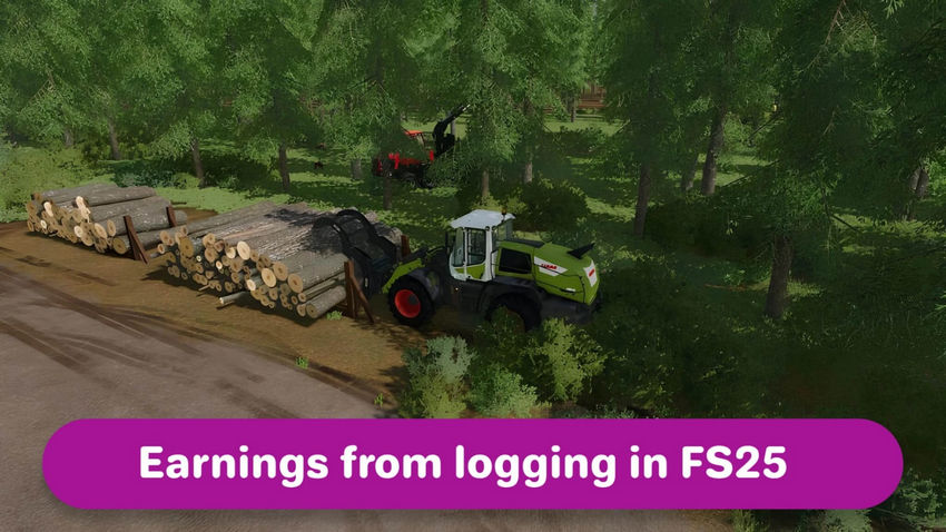 Farming Simulator 25. Деньги