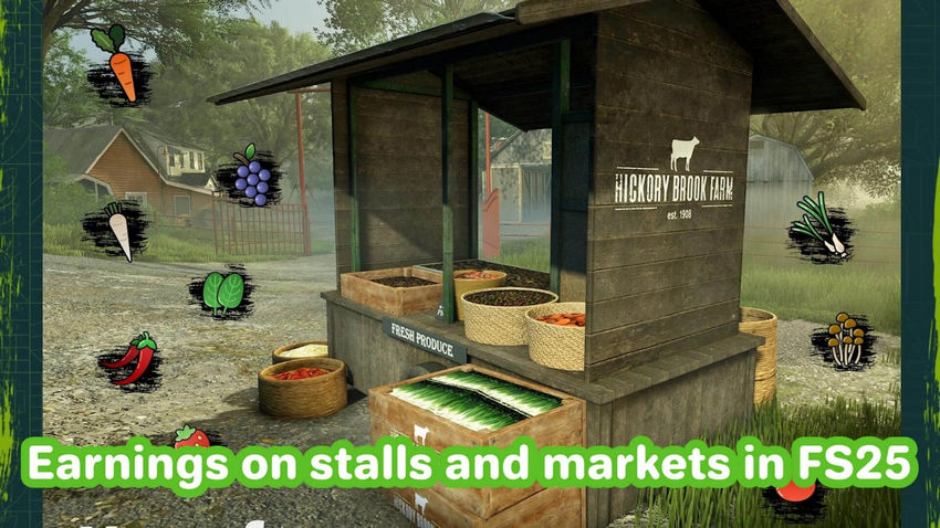 Farming Simulator 25. Деньги