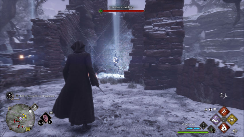 очаги магии Hogwarts Legacy