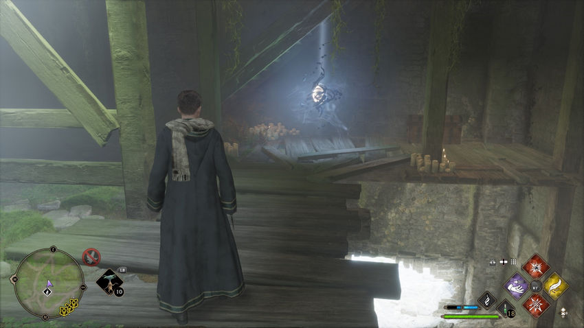 очаги магии Hogwarts Legacy