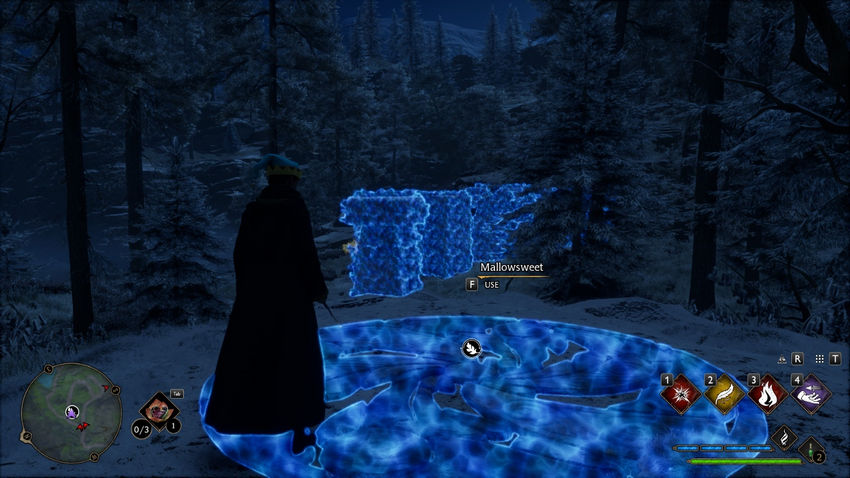 испытания Мерлина Hogwarts Legacy