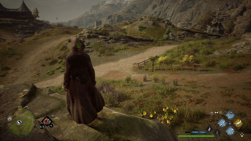 испытания Мерлина Hogwarts Legacy