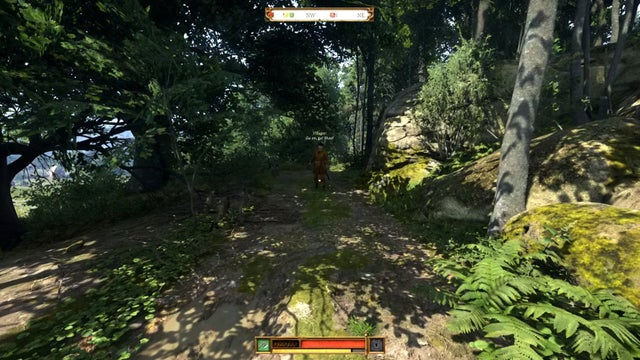 Kingdom Come Deliverance 2. Случайные события