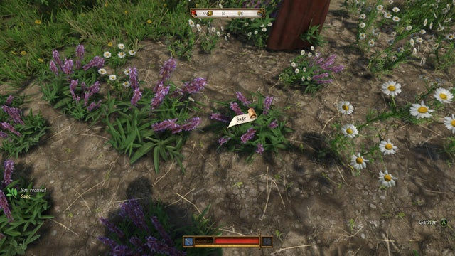 Kingdom Come Deliverance 2. Алхимия и травы