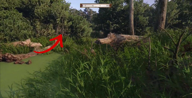 Kingdom Come Deliverance 2. Сокровища