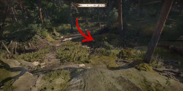 Kingdom Come Deliverance 2. Сокровища