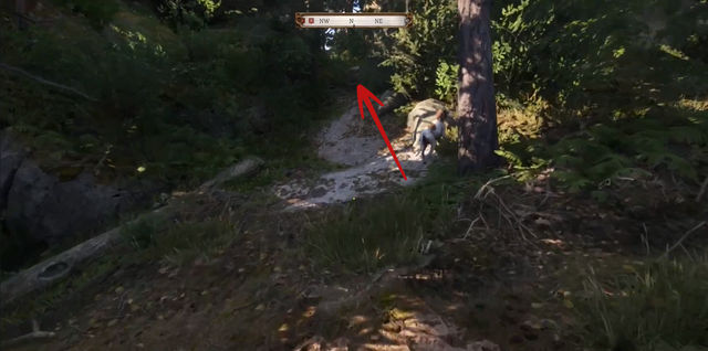 Kingdom Come Deliverance 2. Сокровища