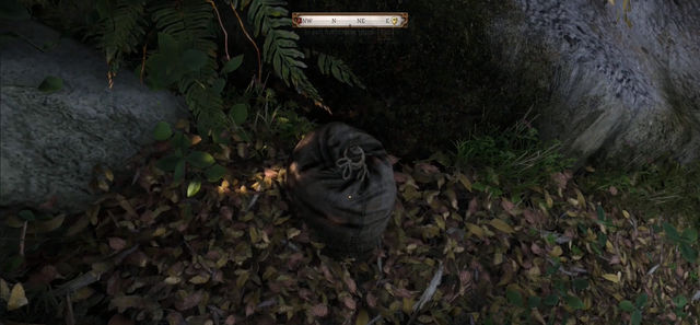 Kingdom Come Deliverance 2. Сокровища