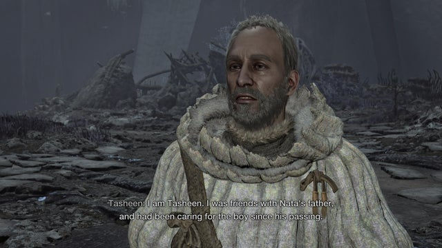 Monster Hunter Wilds. Прохождение