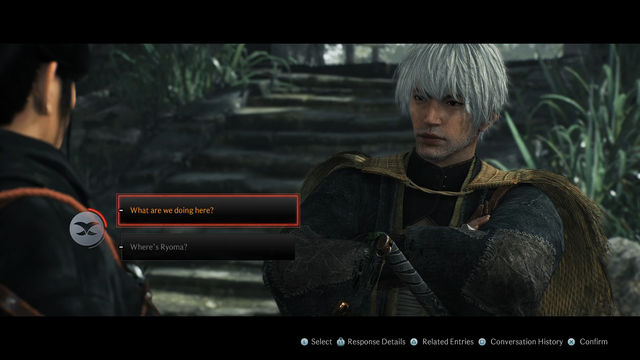 Rise of the Ronin. Дополнительные квесты