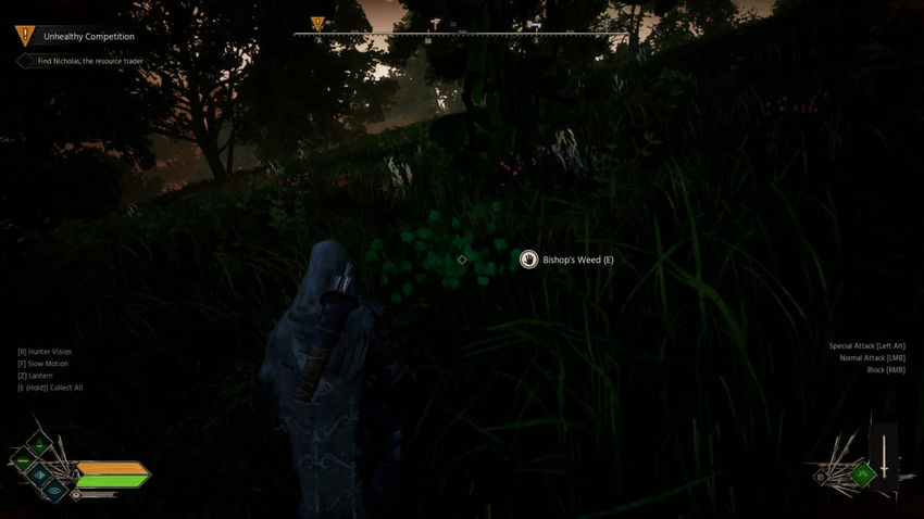 Robin Hood Builders Of Sherwood. Ресурсы