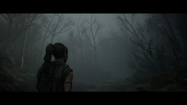 Senua s Saga Hellblade 2. Прохождение