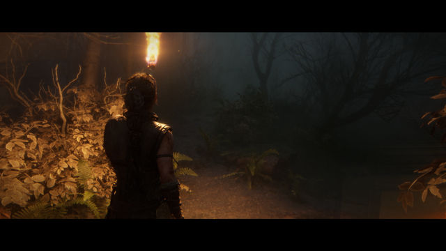 Senua s Saga Hellblade 2. Прохождение