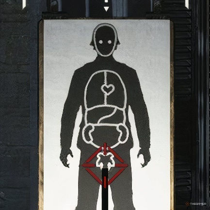 Sniper Elite Resistance. Простреливаемые органы