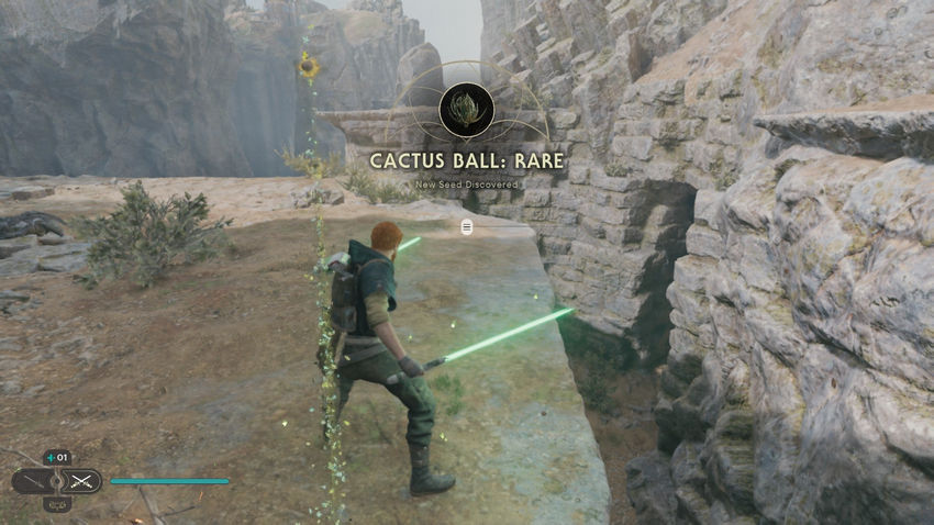 Star Wars Jedi: Survivor. Слухи