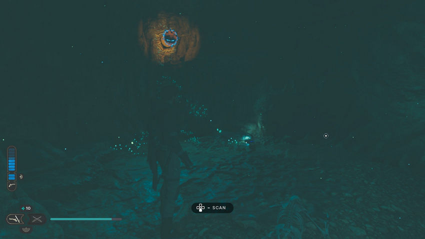 Star Wars Jedi: Survivor. Слухи