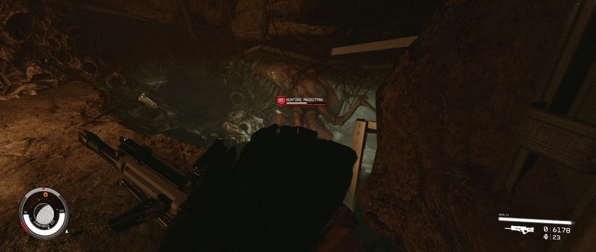 Starfield Старфилд. Звездное семя