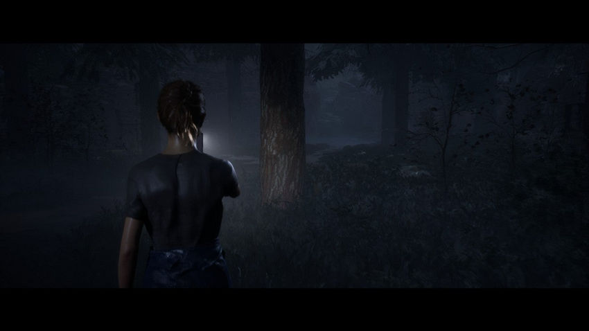 прохождение The Quarry