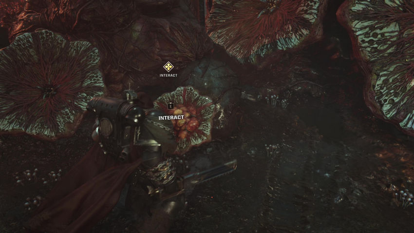 Warhammer 40000 Space Marine 2. Прохождение