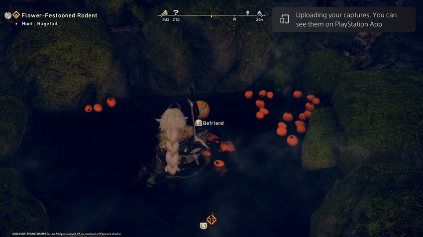 цукумо Путь Харугасуми Wild Hearts