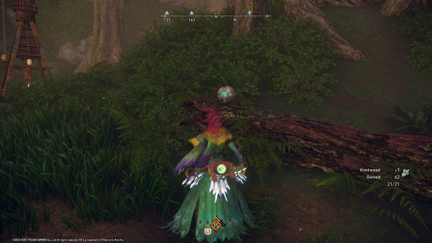 цукумо Путь Харугасуми Wild Hearts