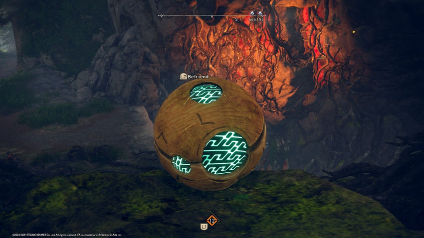 цукумо Путь Харугасуми Wild Hearts