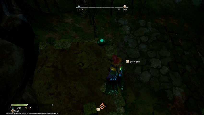 цукумо Путь Харугасуми Wild Hearts