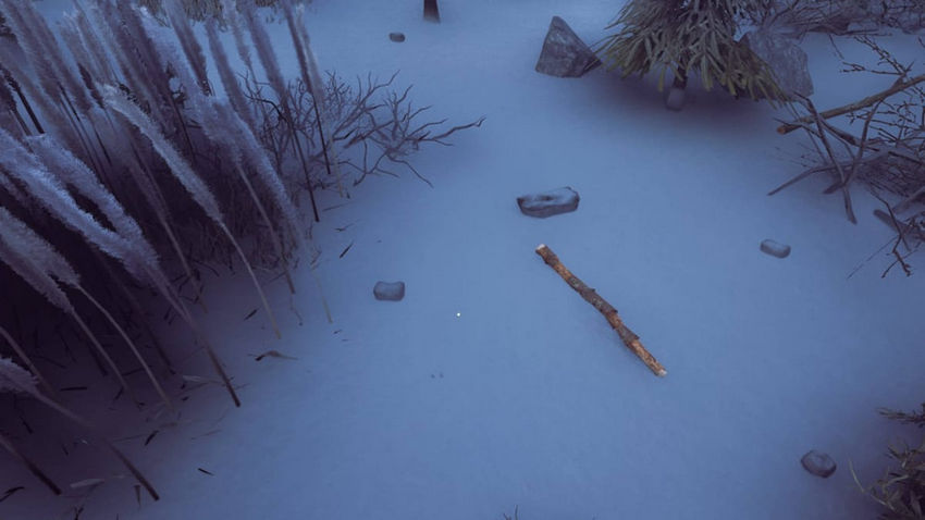 Winter Survival. Ресурсы