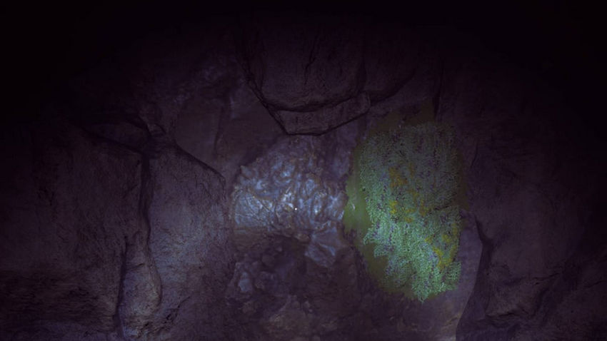 Winter Survival. Ресурсы