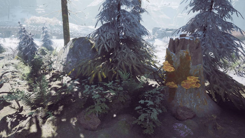 Winter Survival. Ресурсы