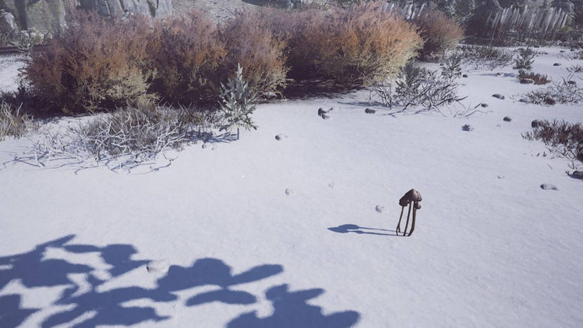 Winter Survival. Ресурсы