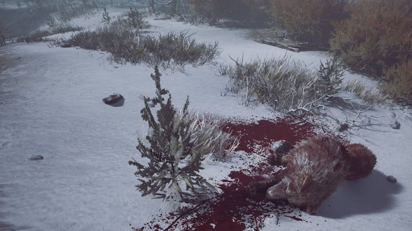 Winter Survival. Ресурсы