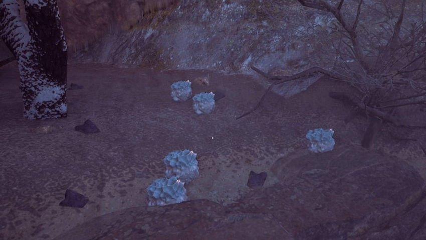 Winter Survival. Ресурсы