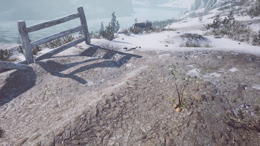 Winter Survival. Ресурсы